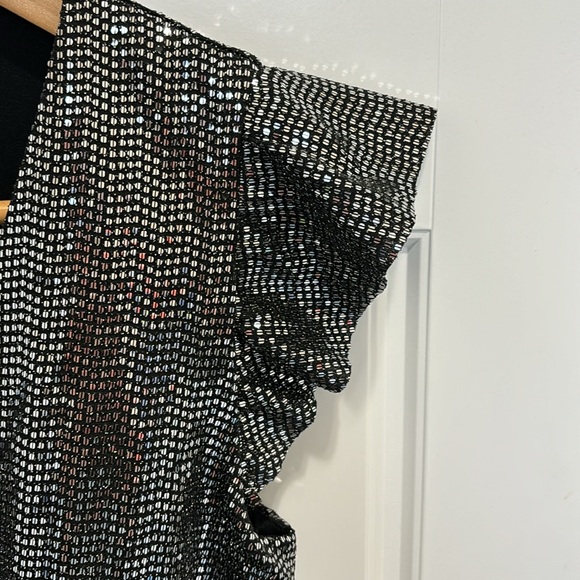 Cache Silver Sequin Top, size Small - Picture 5 of 11